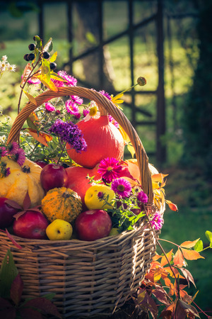 Fruit in a basket. Autumn in the gardenの写真素材