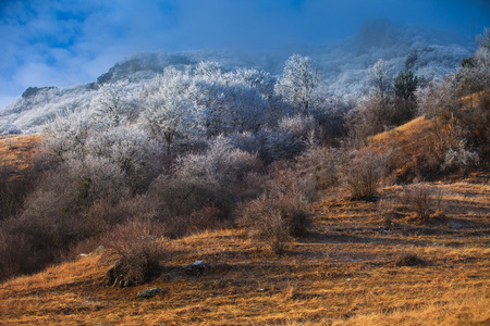 Winter landscape in the mountainsの写真素材