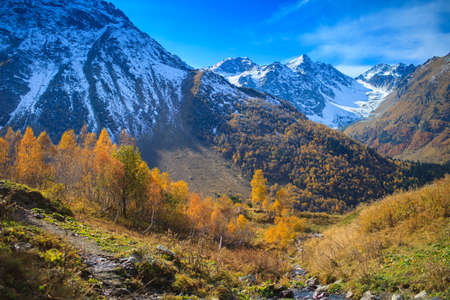 Mountain autumn landscape with colorful forestの写真素材