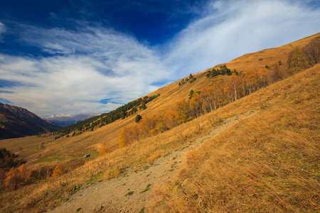 Mountain autumn landscape with colorful forest