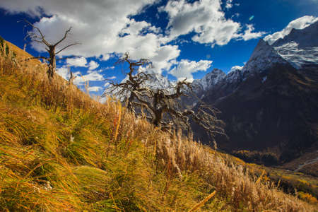 Colorful autumn landscape in mountainsの写真素材