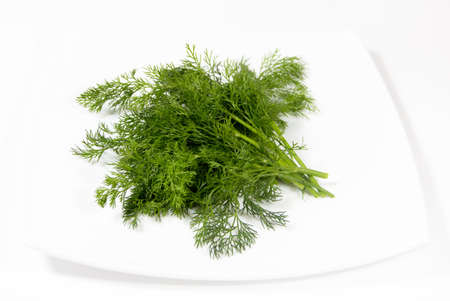 a bunch of parsley and dill on a white plate on a white backgroundの写真素材