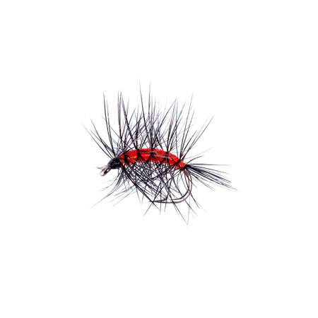Fly fishing lure isolated on white backgroundの写真素材