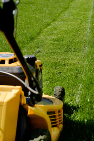 Yellow lawn mower on the green grass. Caring for a garden. Shallow depth of field. Focus on grass.の写真素材