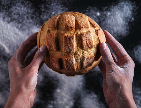 Baker's hands hold fresh bread.