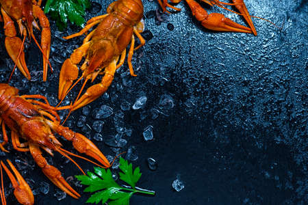 Fresh boiled crawfish with lemons and greens on a dark table with ice. Copyspace for text. Top view.の写真素材