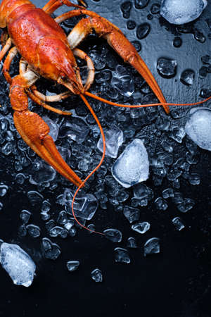 Freshly boiled crawfish on a dark table with iceの写真素材