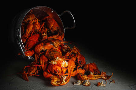 Many crawfish in an aluminum pan on a dark backgroundの写真素材