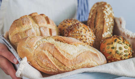 Bread assortment in the hands of the baker, horizontal banner, close-up.の写真素材