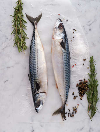 Fresh raw fish mackerel on the table with fresh herbs and spices. Top view.の写真素材