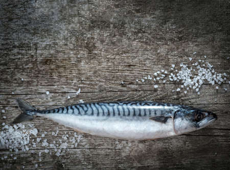 Fresh raw fish mackerel on a wooden table. Rustic style. Closeup.の写真素材
