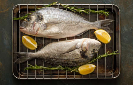 Fresh Raw Dorado with lemon, thyme, cherry and rosemaryの写真素材