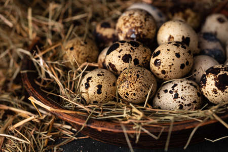 Quail eggs in a straw nest