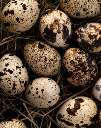 Quail eggs in a straw nest
