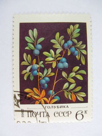 Stamp. An old collection stamp. Mail of the USSR.の写真素材