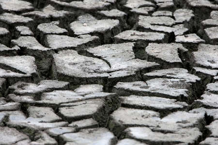 Large and deep cracks on the dry ground