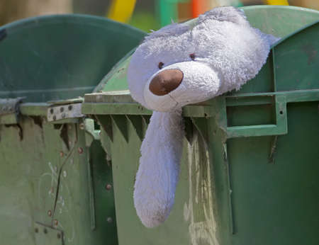 The sad thrown bearの写真素材