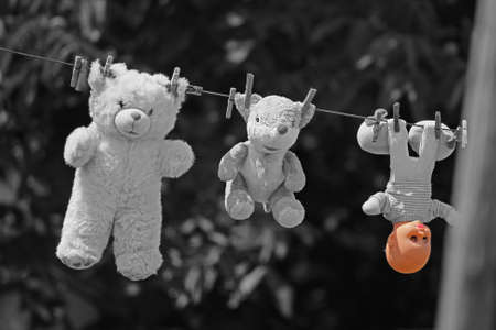 Plush children's toys hang on the wire after washingの写真素材