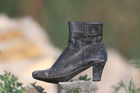 The old women's shoe was thrown away as unnecessary. Photographed in gentle morning light