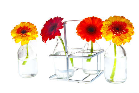 different colored springflowers in tray with vasesの写真素材