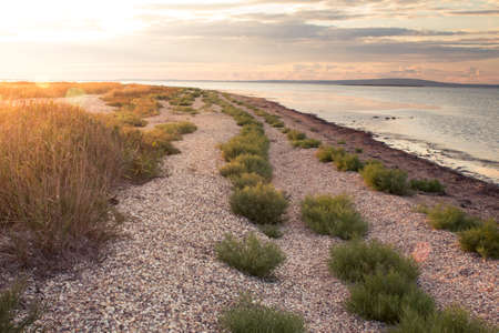 shelly beachの写真素材