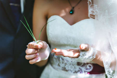 The couple are considering a ladybug, stand in the Apple orchard.の写真素材