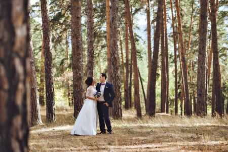 Newlyweds on the background of a beautiful pine forest. Happy and lovelyの写真素材
