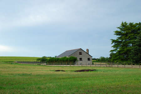 House on the green grass fieldのeditorial素材