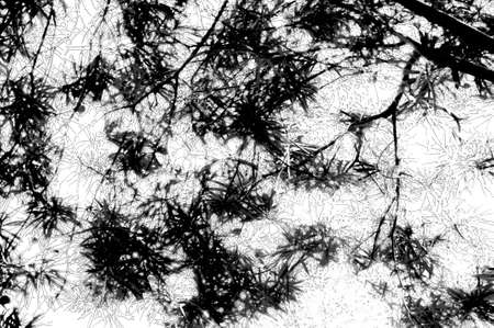 Abstract of silhouette leaves background