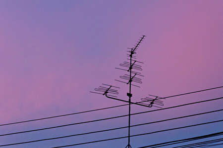 Television antenna and electrical wires at twilightの写真素材