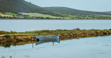 white heron walking in a pond and looking for food near a fishing boatの写真素材