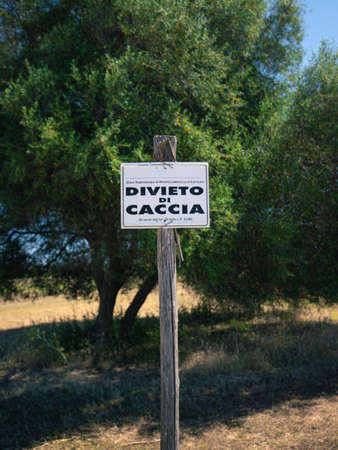 hunting ban sign with a centuries-old olive tree in the backgroundの写真素材