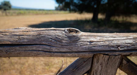 dry wood trunk used to create a fence