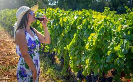 Young woman with glass of wine in vineyard on sunny day, front viewの写真素材