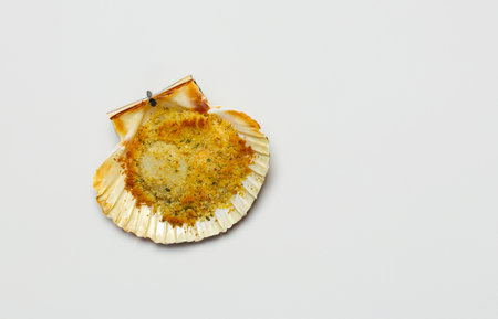 scallops au gratin cooked in the oven with parsley and lemonの写真素材