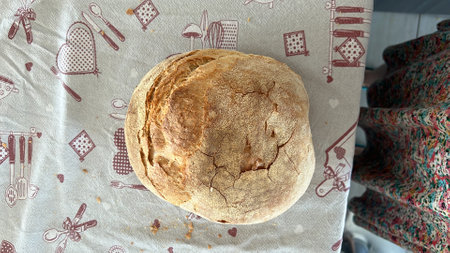 su civraxiu typical Sardinian bread made of wheat semolina