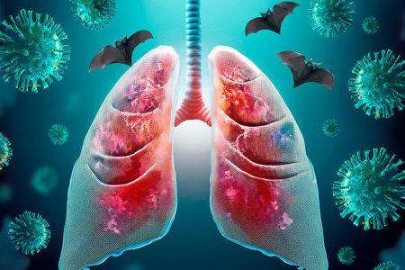 Microscopic view of HKU5-CoV-2 virus, a human coronavirus,の写真素材