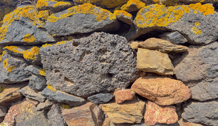 Close-up of a dry-stone wall made of volcanic rocks, covered with vibrant yellow lichenの写真素材