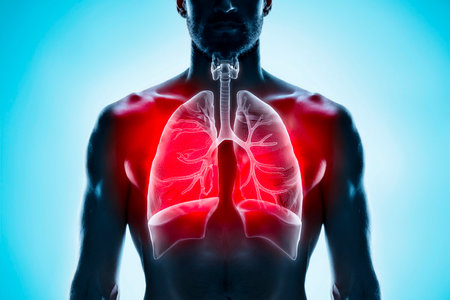 Detailed digital illustration of lungs and trachea inside male human bodyの写真素材