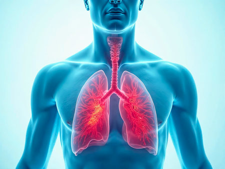 Detailed digital illustration of lungs and trachea inside male human bodyの写真素材