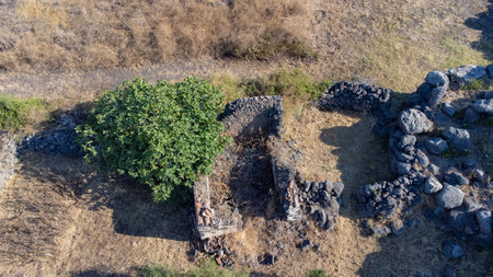 Aerial view of the ruins of the ancient city of Pompeii in Italy