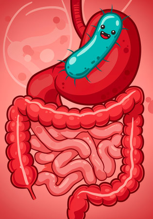 Friendly Gut Bacteria Inside the Intestine â Cartoon Styleの写真素材