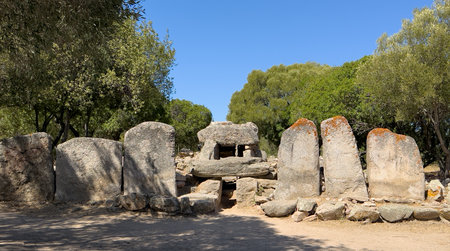 Prehistoric Giants' Tomb ruins surrounded by trees and dry landscape near Olbia