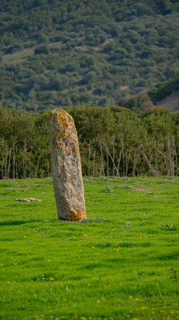Ancient Menhir Standing Stone in Rural Sardinia Asuni Landscapeの写真素材