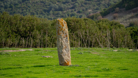 Ancient Menhir Standing Stone in Rural Sardinia Asuni Landscapeの写真素材