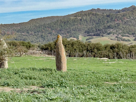Ancient Menhir Standing Stone in Rural Sardinia Asuni Landscapeの写真素材