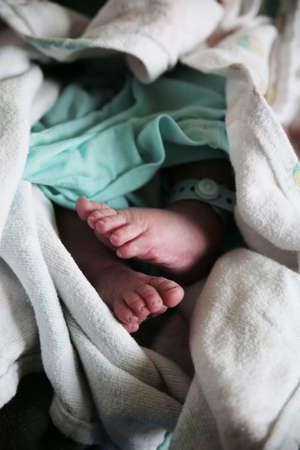 illustration of new born baby's feet wrapped in towel
の写真素材