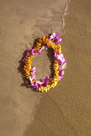 Lei at water's edge in Hawaiiの写真素材
