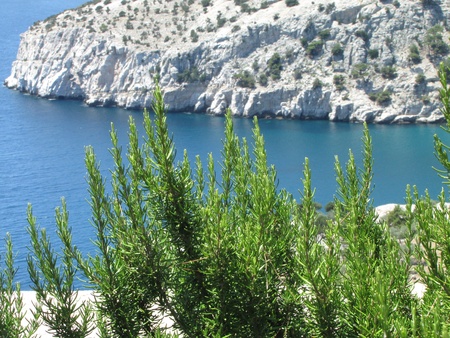 White rocky coast, crystal blue sea and green, aromatic rosemary