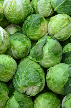Background - full frame of cabbage, ready for saleの写真素材